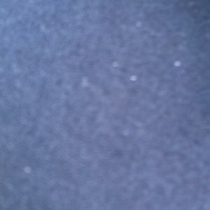 Meet your Posher, Roberta